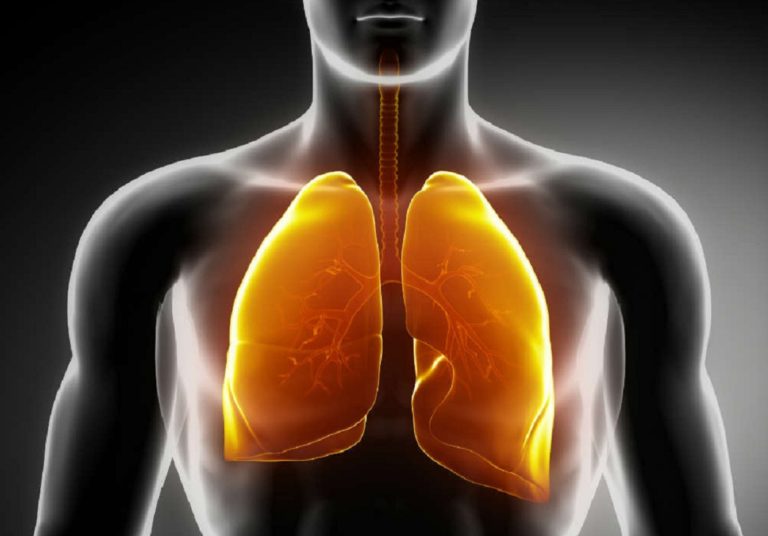 Les maladies pulmonaires, une pathologie grave