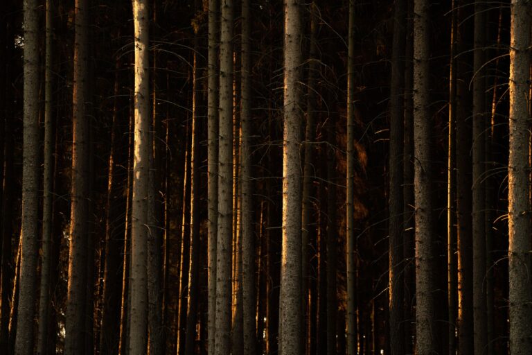 Quels sont les échos de l&rsquo;âme ?