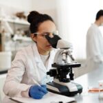 Du Nobel à la souris, la lumière aide à distinguer les neurones qui participent à la peur et à l’éveil